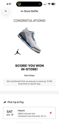 Jordan 3’s true blue size 13