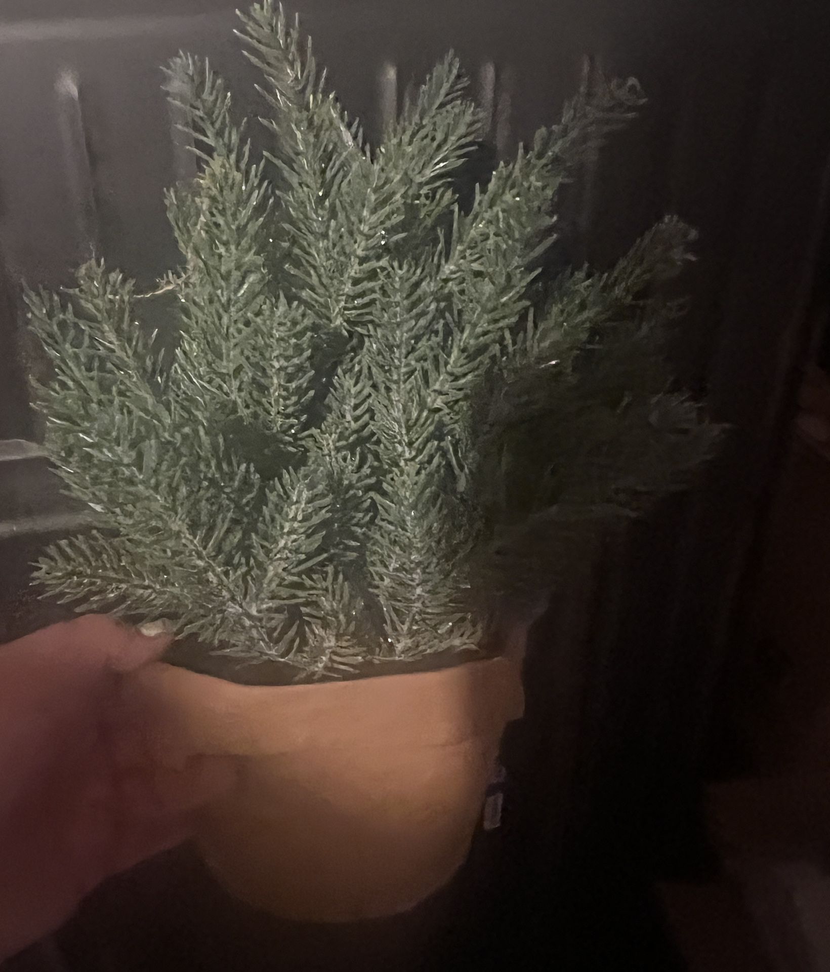 Tabletop Frosted Christmas Tree Pot