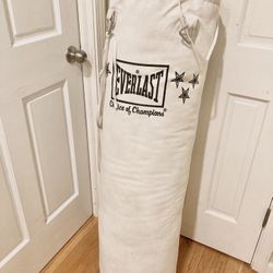 Everlast Punching Bag 70lb