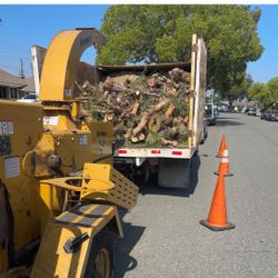 Firewood