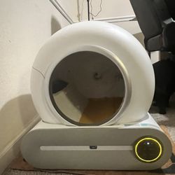 Self Cleaning Cat Litter Box