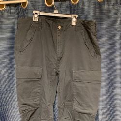 Mens Levi Cargo Pants