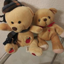 Two Teddy Bears 
