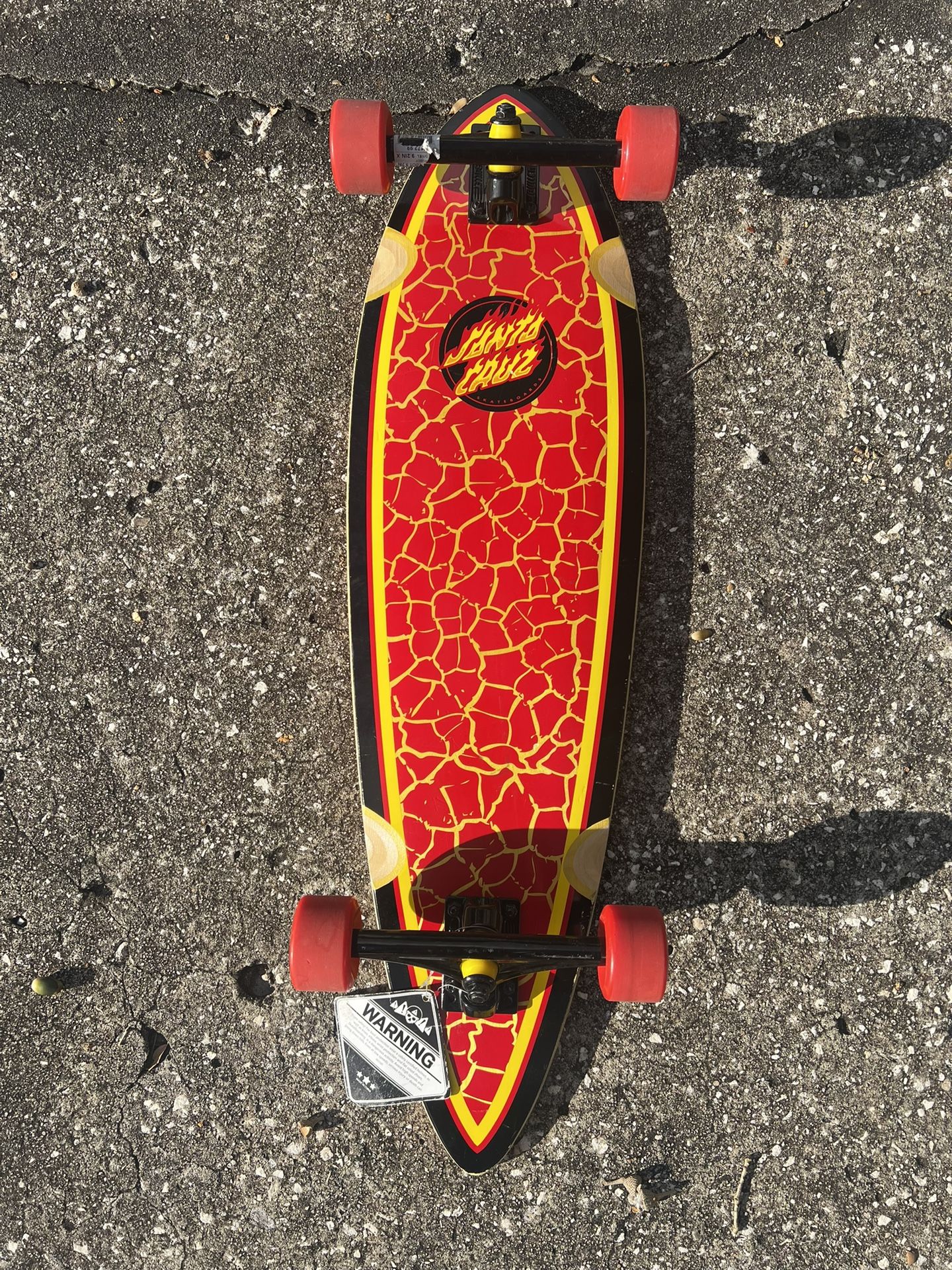 Santa Cruz Flame Ringed pintail cruiser complete Skateboard