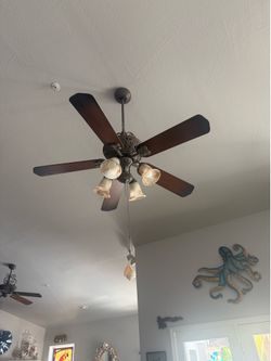 Fan #2