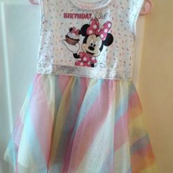 Minnie BIRTHDAY GIRL DRESS 3T Only Wore One Time