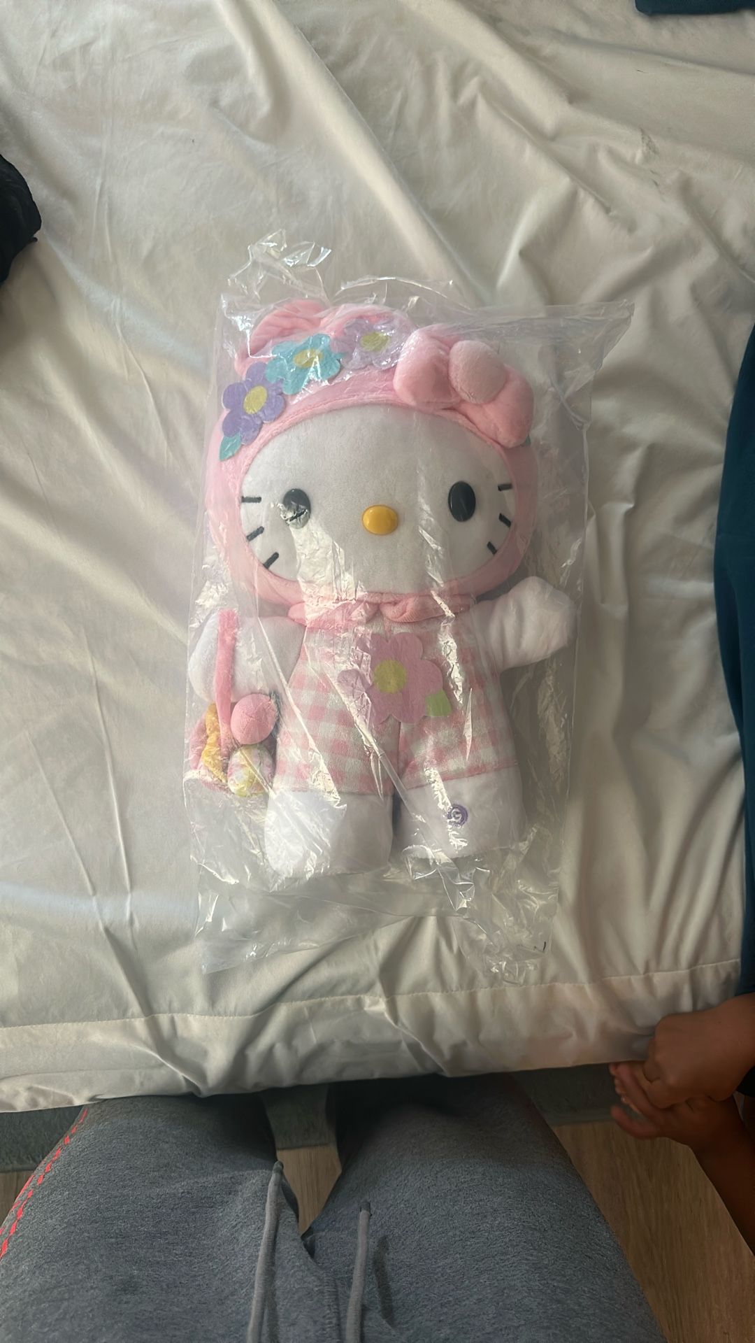 Hello Kitty Stepper