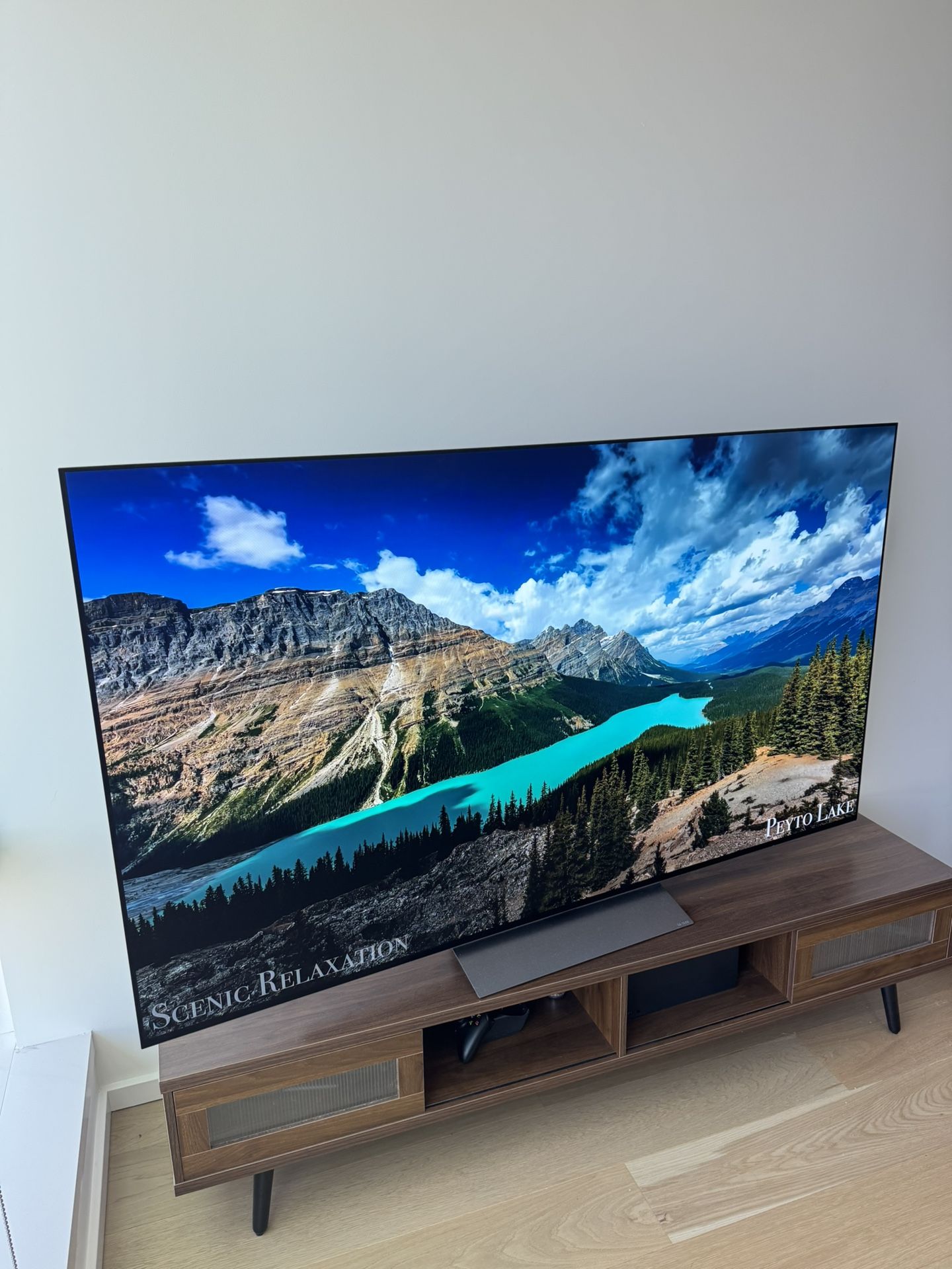LG 77" OLED