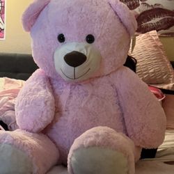 Big Pink Teddy bear 