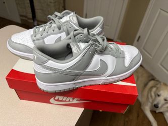 Nike Retro dunk 11.5 Men’s Grey And White