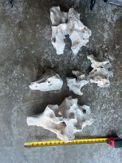 Texas holey rock