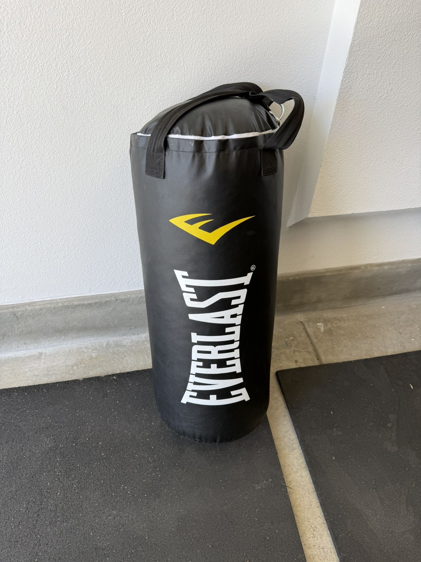 Punching Bag