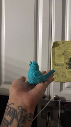 Bird whistle