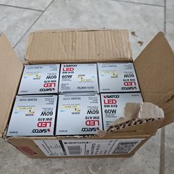 Light Bulbs Spft White 6 Units