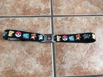 Pokémon Belt. 