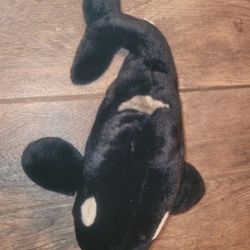 Sea World Shamu