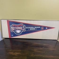 Washington Nationals Wingcraft 