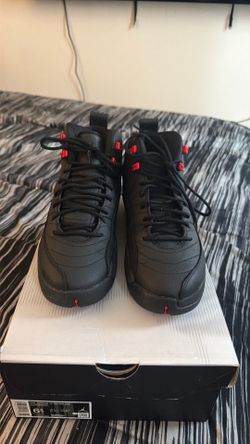 Air Jordan 12 Retro  6/5 in a half