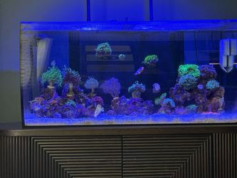 32.5 Saltwater Aquarium Only