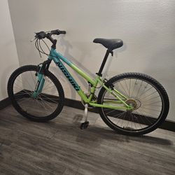 Beautiful Mountain Bike NISHIKI BRAND 