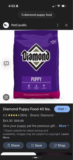 Mini dachshund food