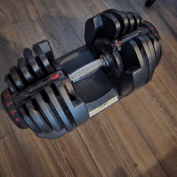 Bowflex Selecttech 1090 Dumbbell