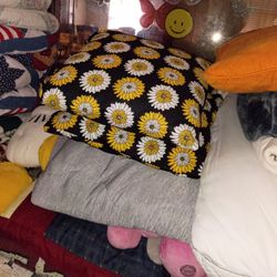 Couch pillows