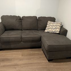 Living spaces Pull Out Couch 