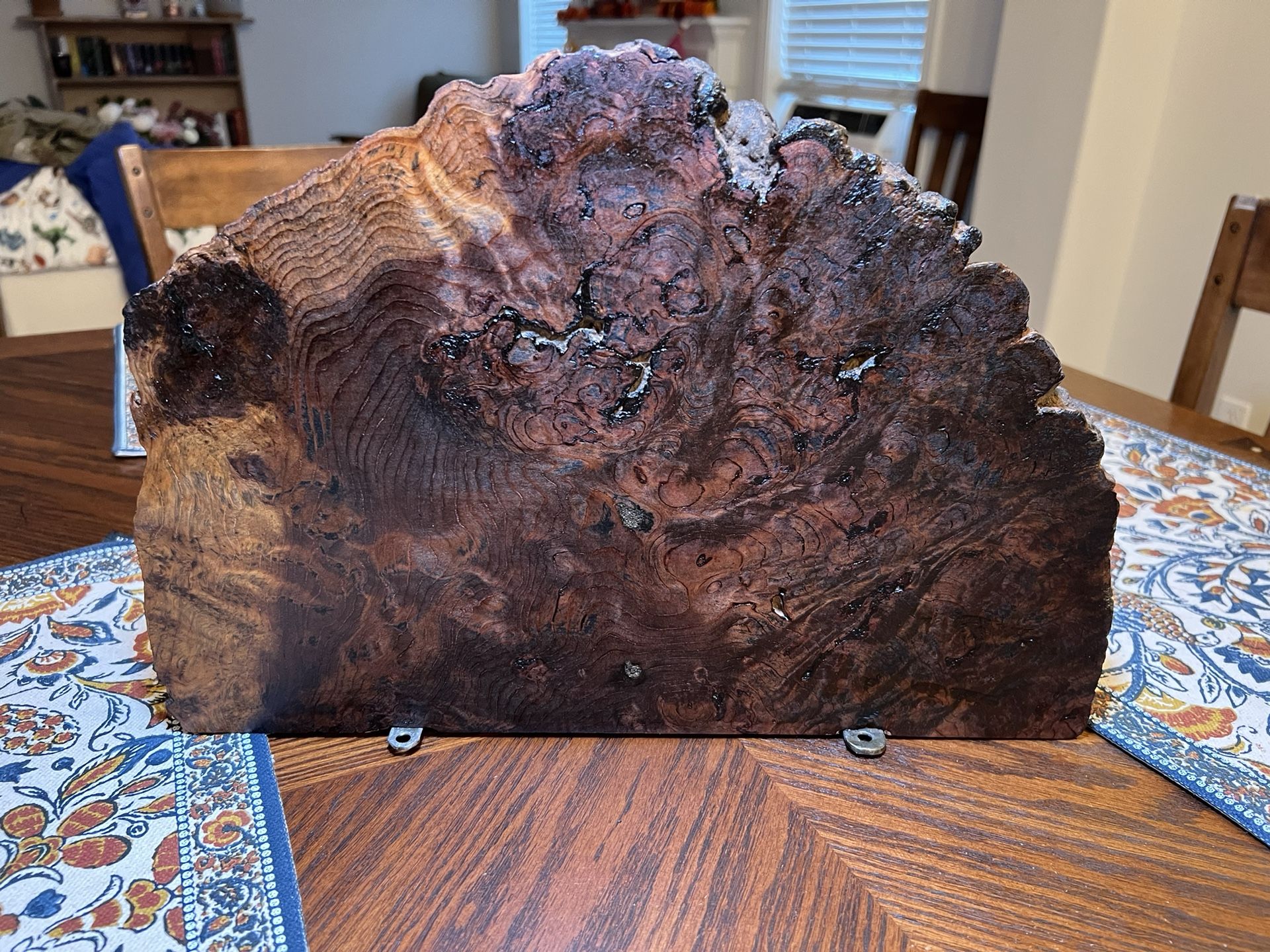 Handmade Burl Shelf/Wall Decor