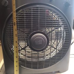 Fan