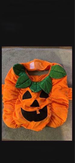 CA. SIZE LARGE PUMPKIN COSTUME. ALSO HAVE ELEPHANT.