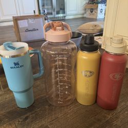 Stainless Steel Stanley Cups 