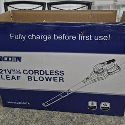 Cordless blower