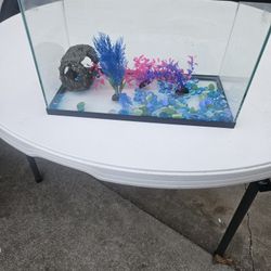 Fish, take good condition, 10 gallon.