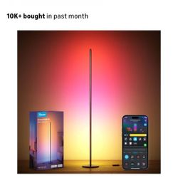 GOVEE RGBIC FLOOR LAMP WORKS WITH ALEXA