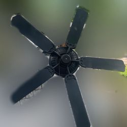 Exterior Fan