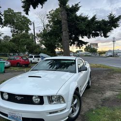 2008 Ford Mustang