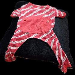 Doggy Pajamas