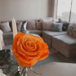 Large sectional @91st N Olive 