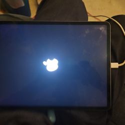 6th Generation I Pad 12.9