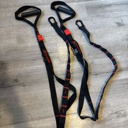Gym Suspended Straps 
