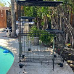 Cage 