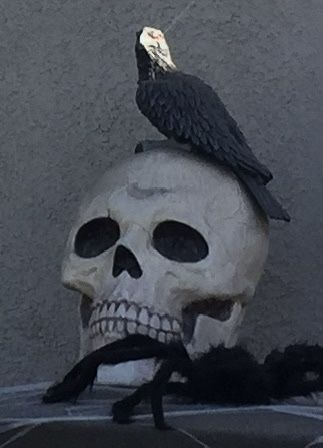 Halloween Decoration