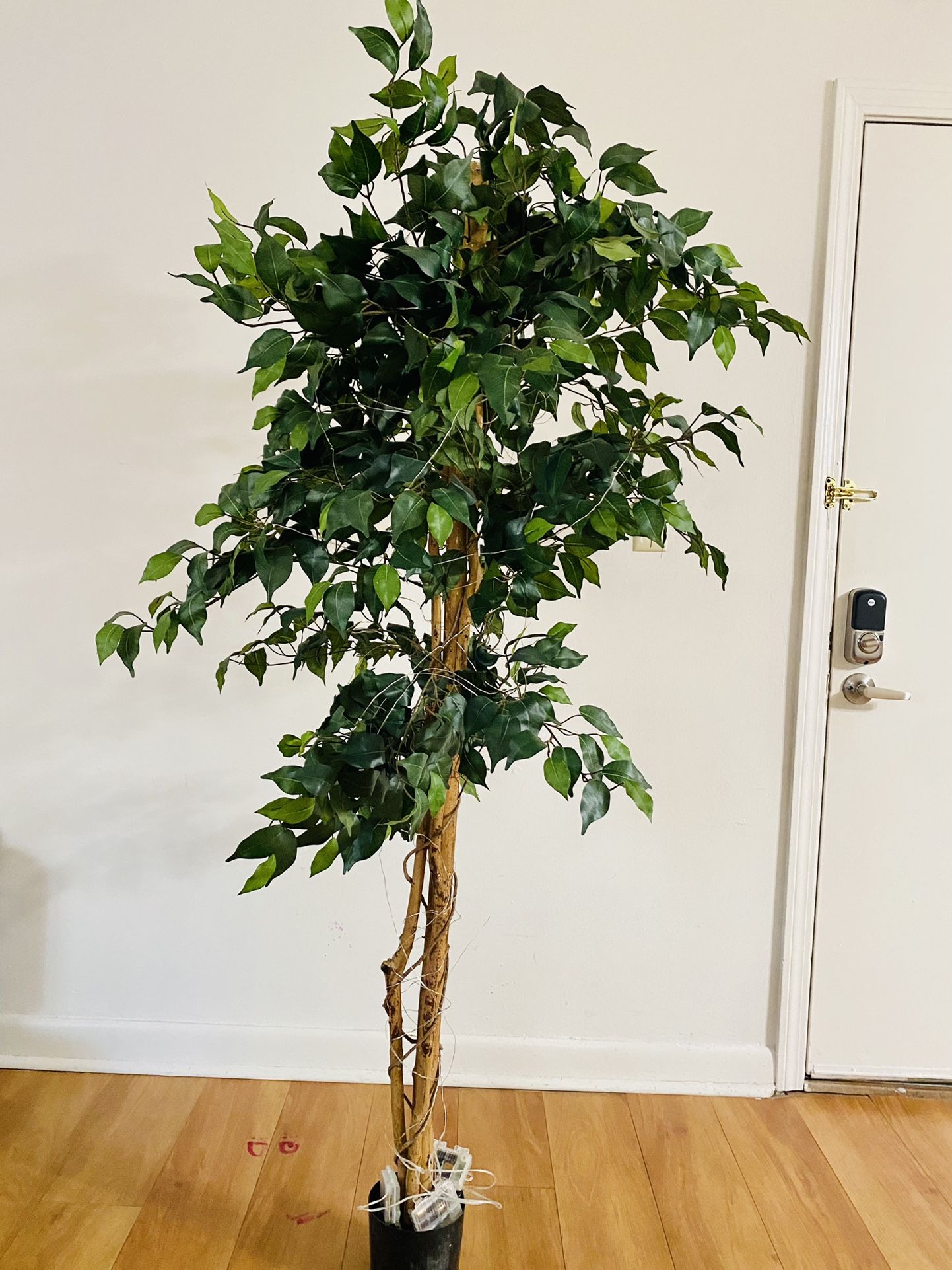 Faux Plant
