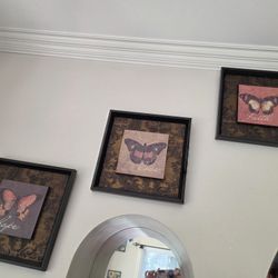 Butterfly Wall Art