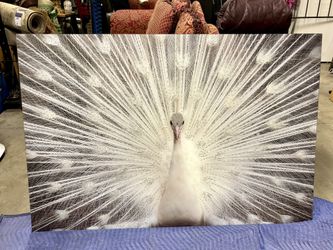 White Peacock with Rhinestones Frameless Tempered Glass Wall Art - 40" x 60" - Wayfair