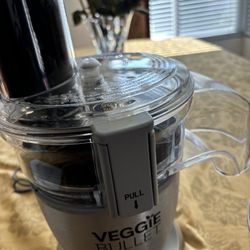 Veggie Bullet With spiralizers