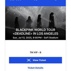 Blackpink Concert VIP Ticket for Sunday 7/13 (1 qty)