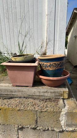 FREE- in alley BEHIND house
