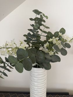 Beautiful Vase With Plant